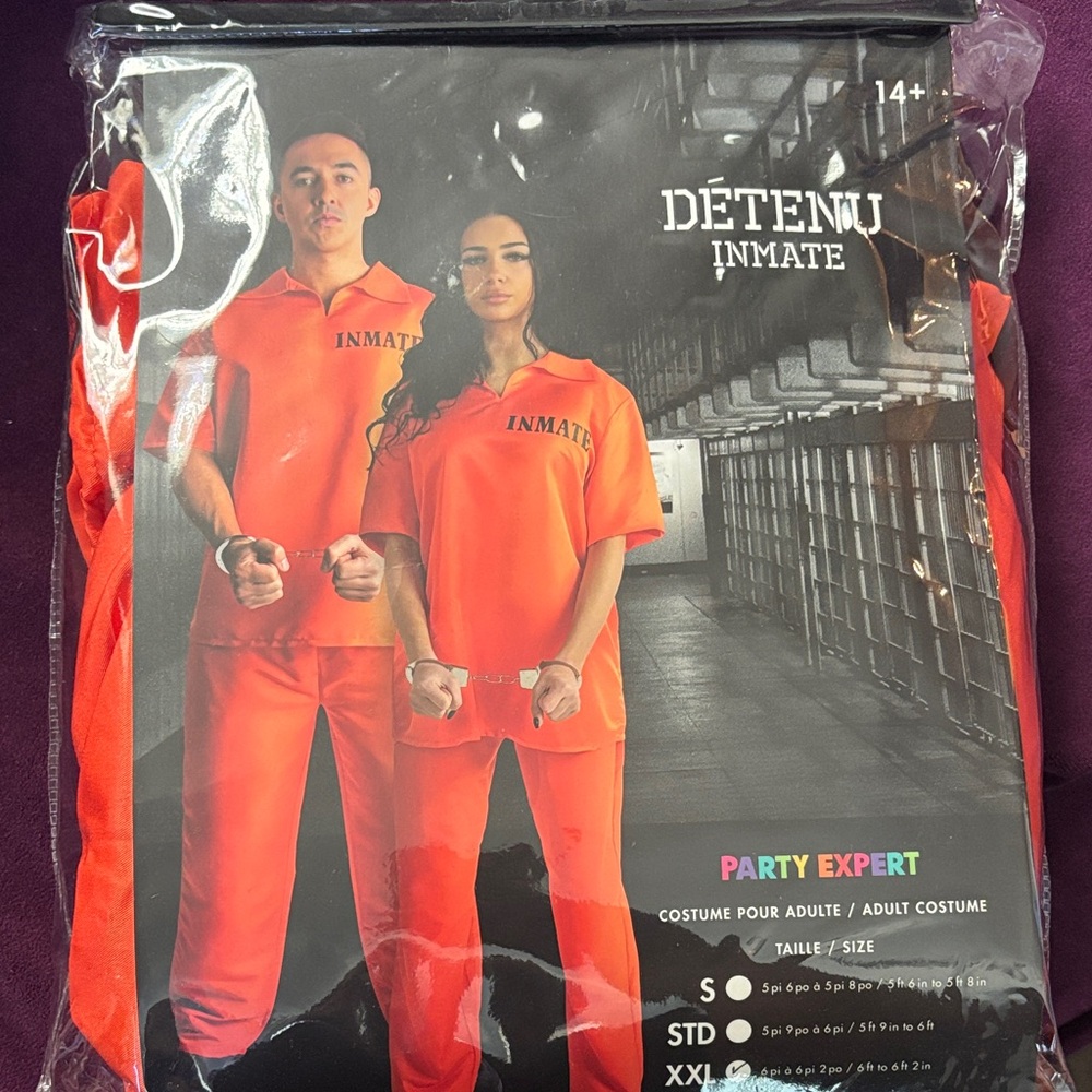 Party Expert Inmate Halloween Costume